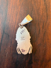 Load image into Gallery viewer, Sonoran Gold Pendant
