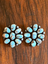 Load image into Gallery viewer, Golden Hills Cluster Earrings
