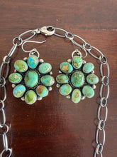 Load image into Gallery viewer, Sonoran Gold Cluster Set
