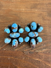 Load image into Gallery viewer, Golden Hills Earrings
